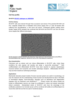 Cell line profile - Culture Collections
