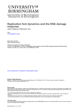 University of Birmingham Replication fork dynamics and the DNA