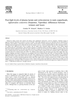 Post-fight levels of plasma lactate and