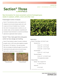 Section&reg; Three