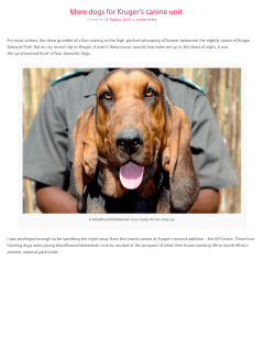 More dogs for Kruger`s canine unit - Africa Geographic