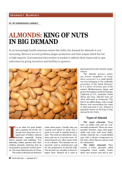 Almonds - Vivekananda College Puttur