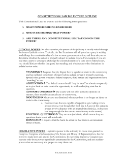 constitutional law big picture outline