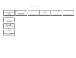 Process Improvement Scott Boomershine Category Mangement VP