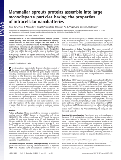 Mammalian sprouty proteins assemble into large