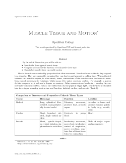 Muscle Tissue and Motion