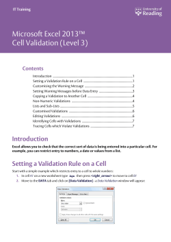 Microsoft Excel 2013 Cell Validation