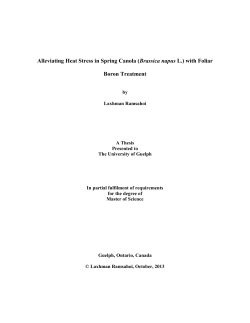 Alleviating Heat Stress in Spring Canola - The Atrium