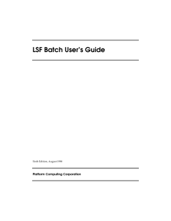LSF User`s Guide