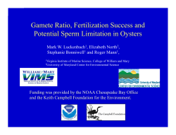 Gamete Ratio, Fertilization Success and Potential Sperm Limitation
