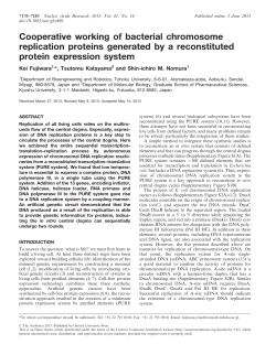 Cooperative working of bacterial chromosome replication proteins