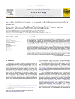 An insight into the mechanisms of nanoceria toxicity in