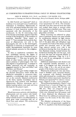 AN UNSUSPECTED ULTRASTRUCTURAL FAULT IN HUMAN