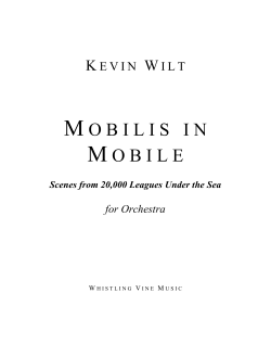 mobilisinmobile