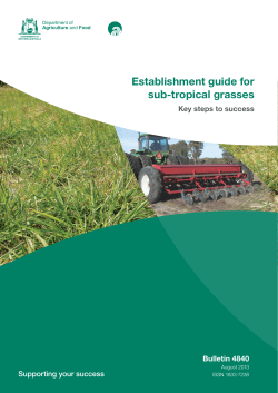 Key steps to success: establishment guide for sub