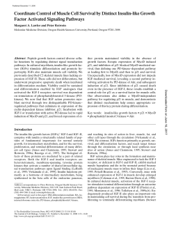 Coordinate Control of Muscle Cell Survival by Distinct Insulin