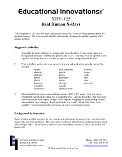 Real Human X-Rays - Educational Innovations