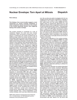 Nuclear Envelope - Semantic Scholar