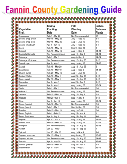 Spring Fall Inches Vegetable/ Planting Planting Between Fruit Date