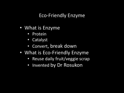 Eco-Friendly Enzyme • What is Enzyme , break down • What is Eco