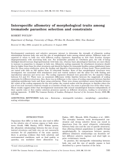 Interspecific allometry of morphological traits among trematode