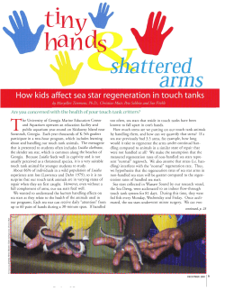 Sea Stars - Georgia Sea Grant