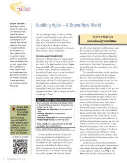 Auditing Agile&mdash;A Brave New World