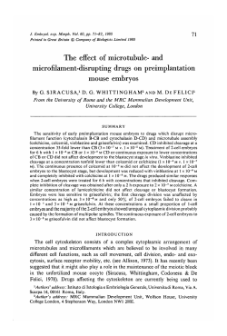 The effect of microtubule- and microfilament