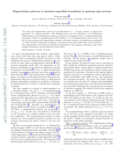 Magnetization plateaus as insulator