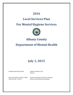 2016 Local Services Plan