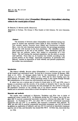 attacking cotton in the coastal plain of Israel