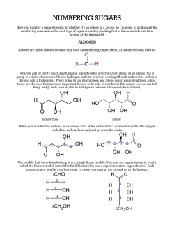 NUMBERING SUGARS