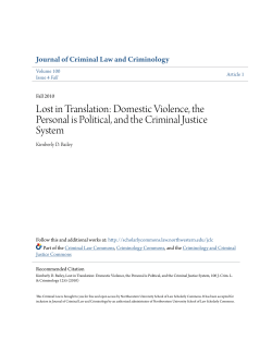 Lost in Translation: Domestic Violence, the Personal is Political, and