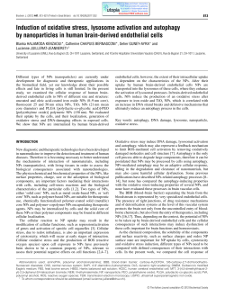 Induction of oxidative stress, lysosome activation and autophagy by