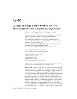 A rapid and high-quality method for total RNA isolation from
