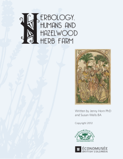 herbology, humans and hazelwood herb farm
