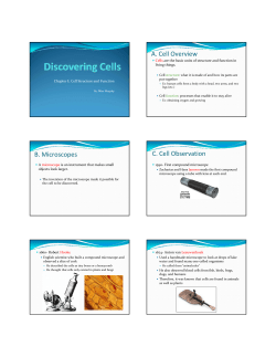 A. Cell Overview B. Microscopes C. Cell Observation