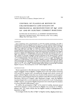 CONTROL OF FLAGELLAR MOTION IN CHLAMYDOMONAS AND