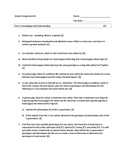 Genetic Assignment #1 Name: Due Date: Part A: Knowledge and