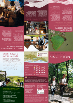 singleton - South Downs National Park Authority