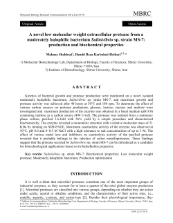 A novel low molecular weight extracellular protease from a