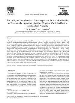 The utility of mitochondrial DNA sequences for the identification of