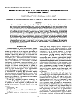 Influence of Cell Cycle Stage of the Donor Nucleus on Development