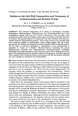 Studies on the Cell-Wall Composition and Taxonomy