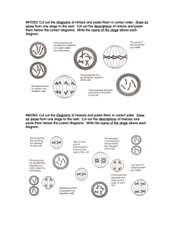 MITOSIS: Cut out the diagrams of mitosis and paste them in correct