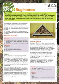 Bug homes - Avon Wildlife Trust