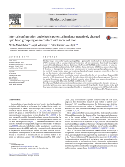 Internal configuration and electric potential in planar negatively