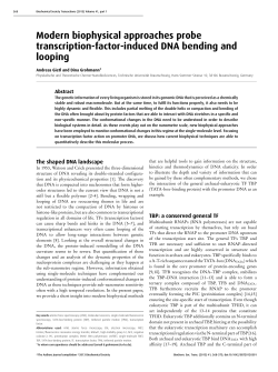 Modern biophysical approaches probe transcription-factor