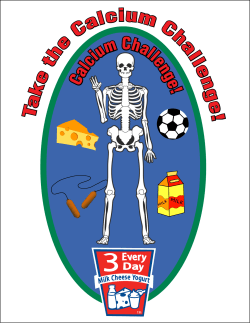 the Complete Booklet