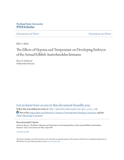 The Effects of Hypoxia and Temperature on Developing Embryos of